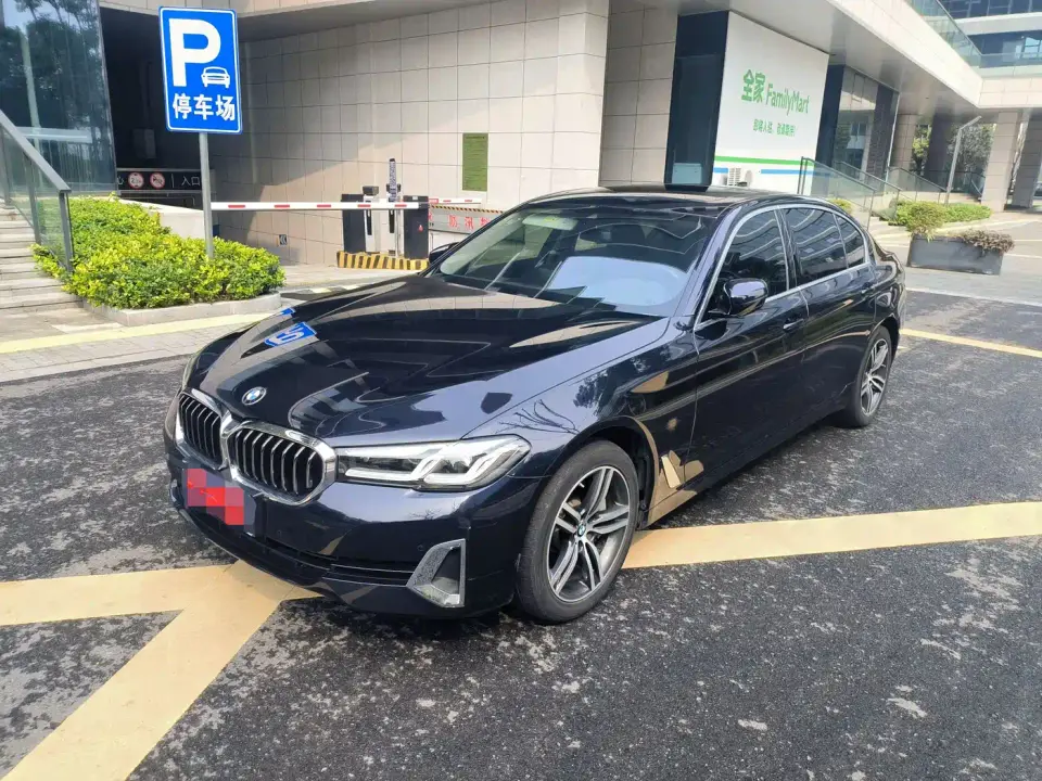 BMW 5 Series 530Li Leading Luxury Package 2021