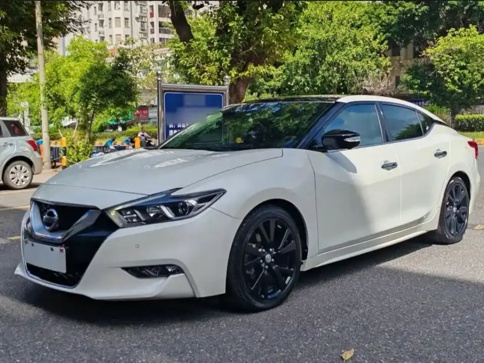 Nissan Cima 2.5L XL Luxury 2019