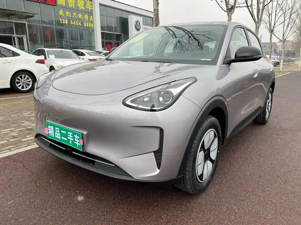 Geely Galaxy Starry Wish 310km Youth Edition 2025