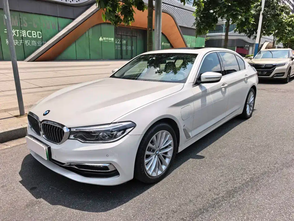 BMW 5 Series New Energy 530Le Luxury Package 2019