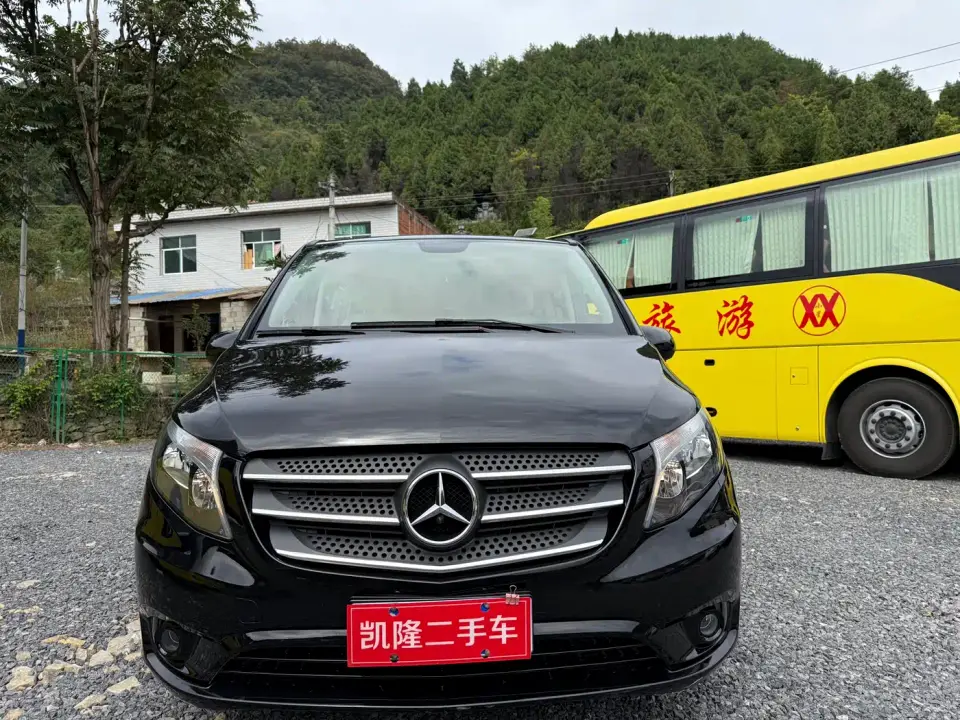 Mercedes-Benz Vito 2.0T Business Edition China VI 2020
