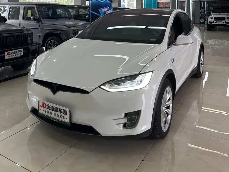 Tesla Model X Model X 100D Long Range 2019
