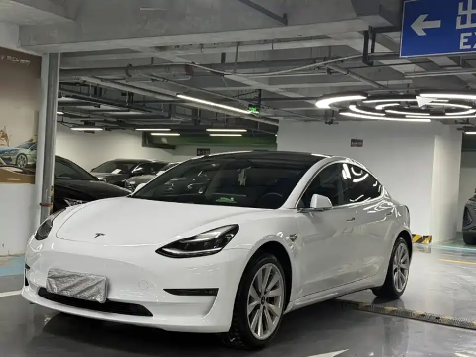 Tesla Model 3 (Import) Long Range RWD Version 2019