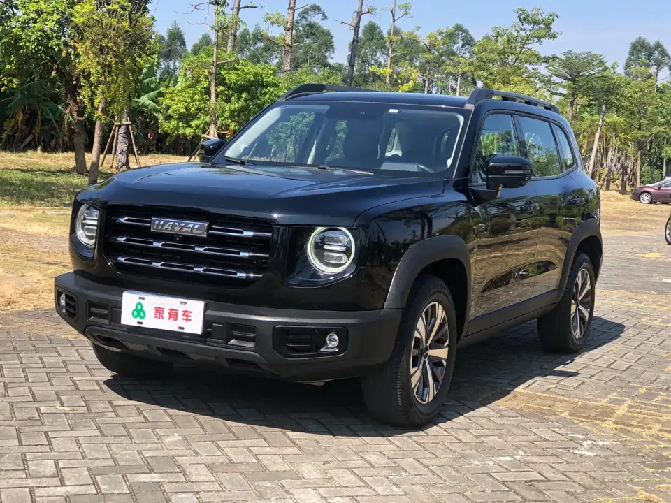 Haval Big Dog 1.5T DCT 2WD Labrador Edition 2023