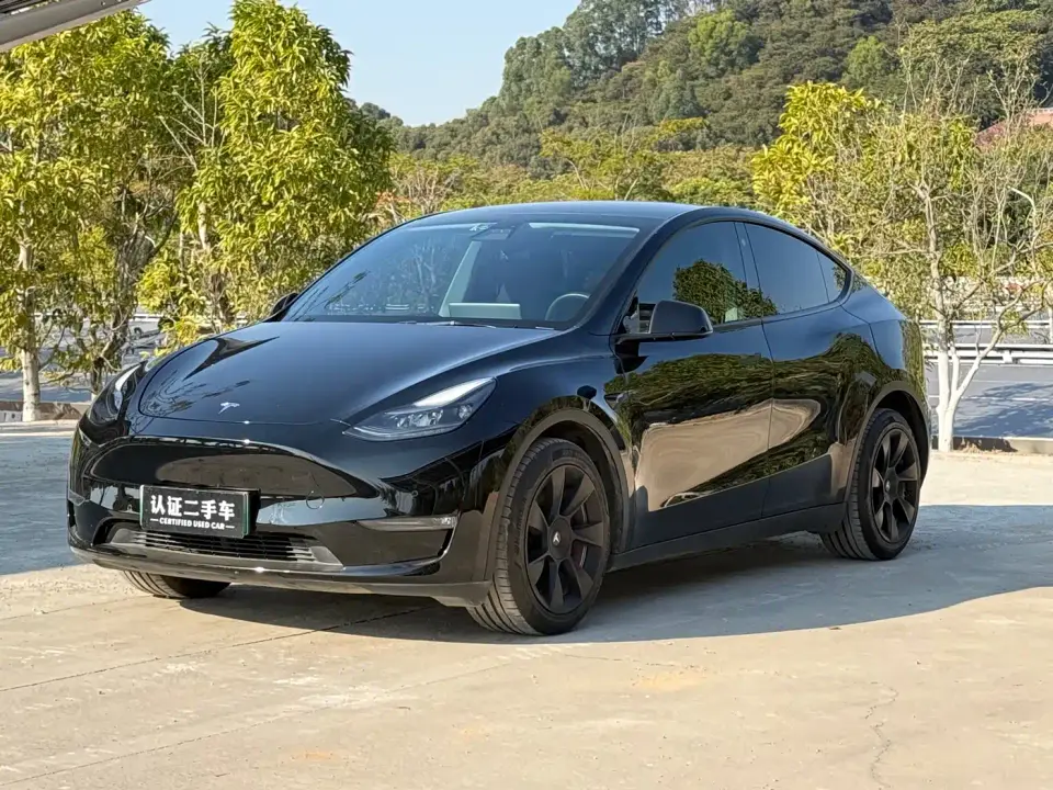 Tesla Model Y Model Long Range AWD 2021