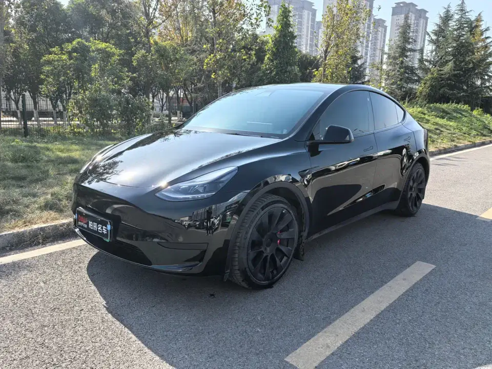 Tesla Model Y Rear-Wheel Drive Version 2022
