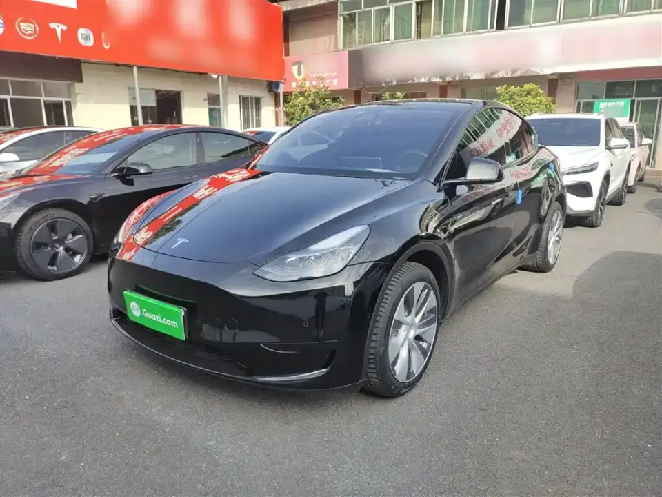 Tesla Model Y Rear-Wheel Drive Version 2022