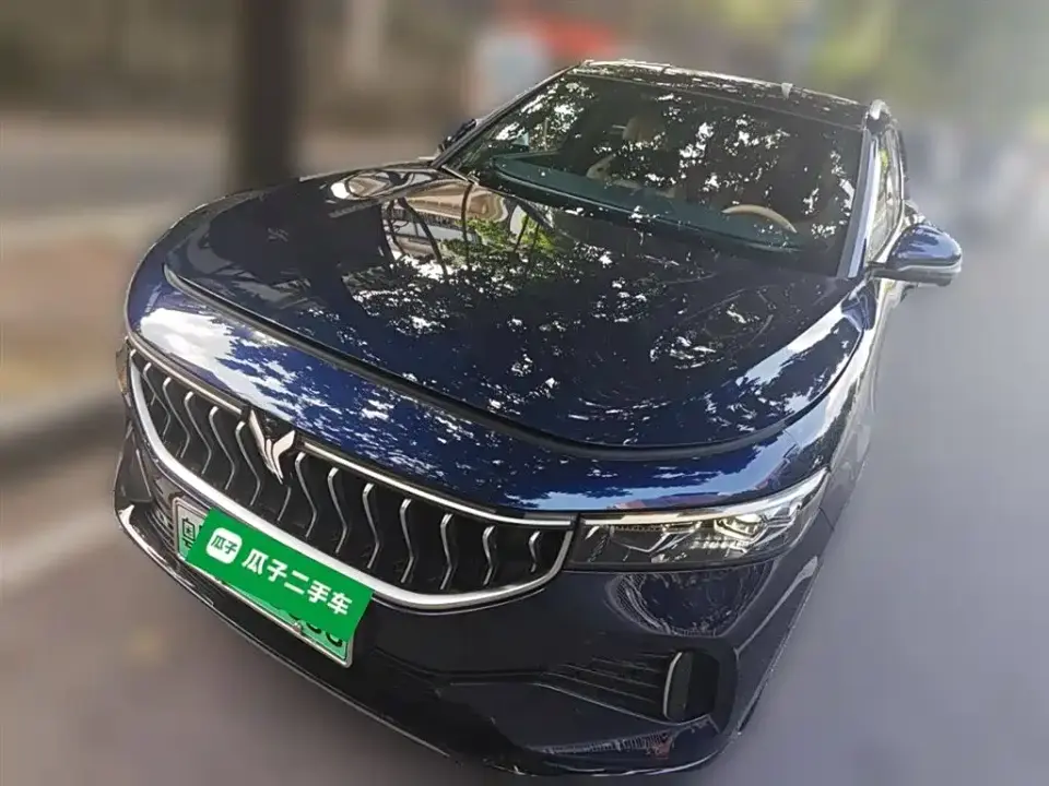 Voyah Auto VOYAH FREE AWD Standard Range Extender Exclusive Luxury Package 2022