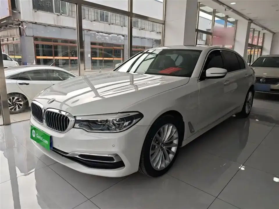 BMW 5 Series 530Li Leading Luxury Package 2020