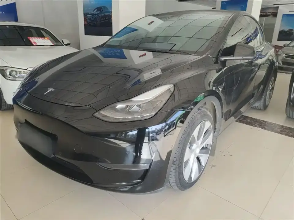 Tesla Model Y Standard Range Rear-Wheel Drive 2021
