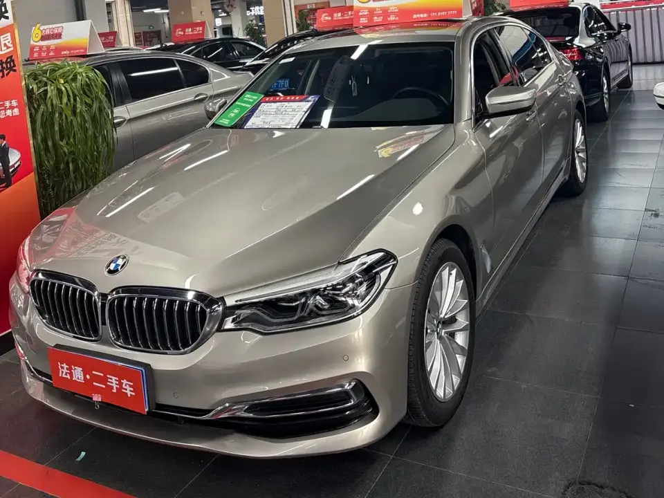 BMW 5 Series 530Li xDrive Luxury Package 2020