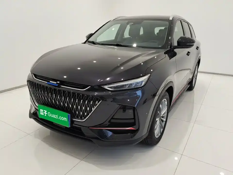 Changan Oshan X7 PLUS 1.5T Blue Whale Edition Auto Executive 2022