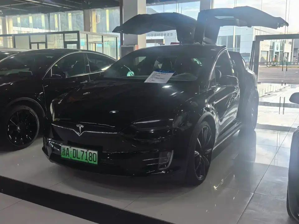 Tesla Model X Model X 100D Long Range 2019