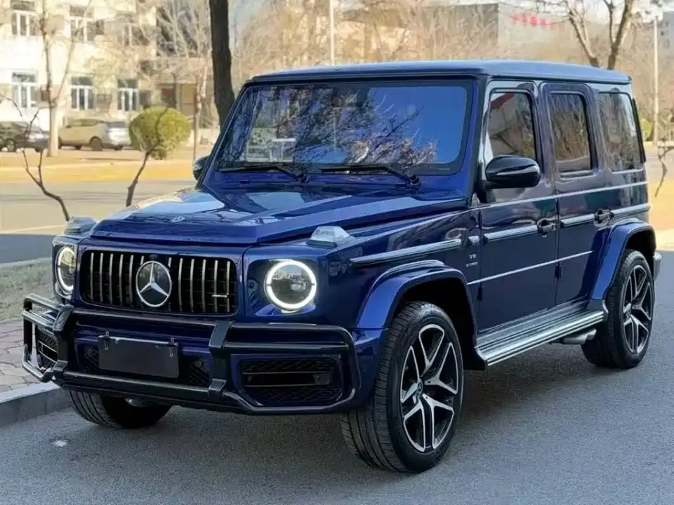 Mercedes-Benz G-Class G 350 2021