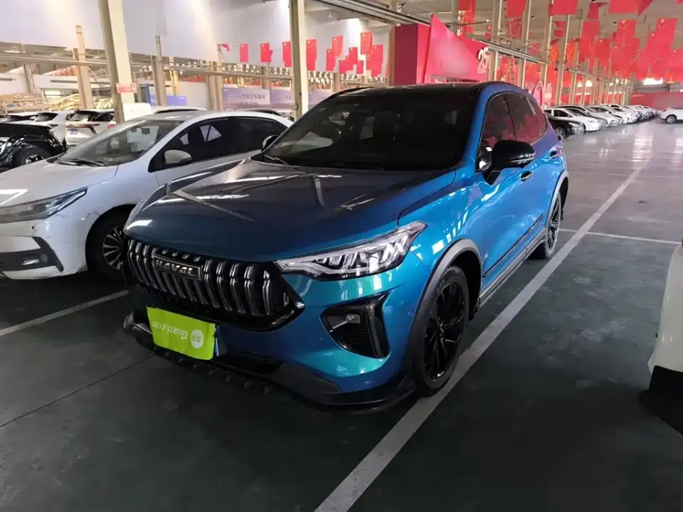 Haval Chitu Boost Edition 1.5T Platinum Rabbit 2021
