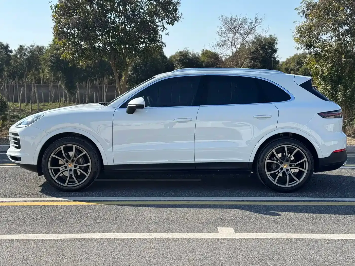 Porsche Cayenne Cayenne 3.0T 2023 — фото 5