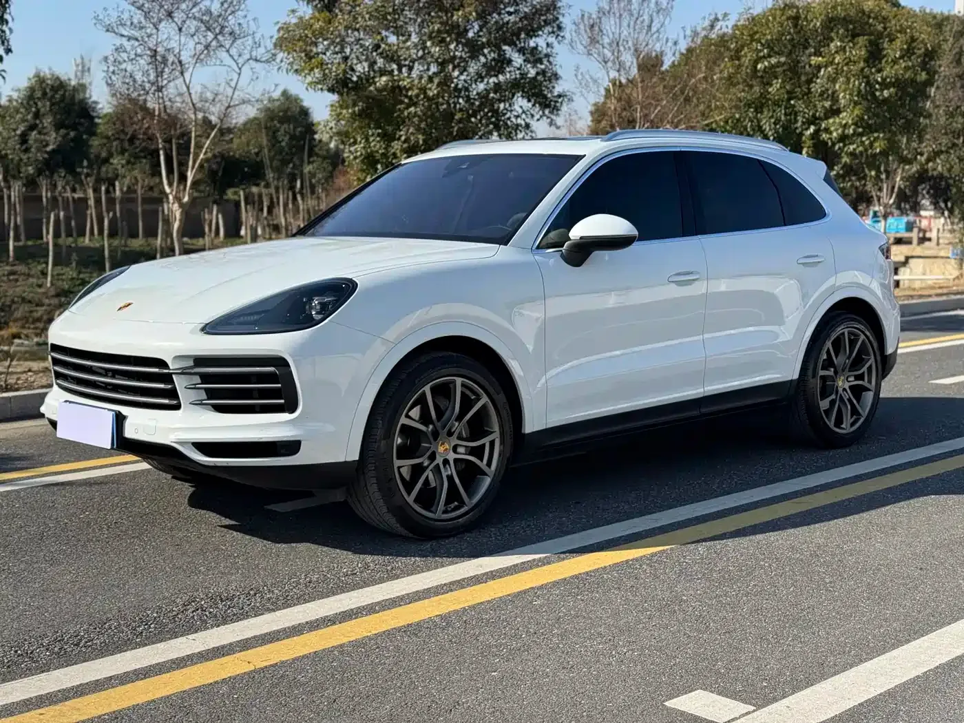 Porsche Cayenne Cayenne 3.0T 2023