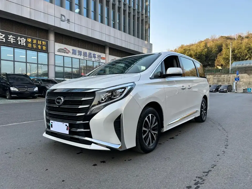 GAC Trumpchi M8 Leading Series 390T Luxury Edition 2024