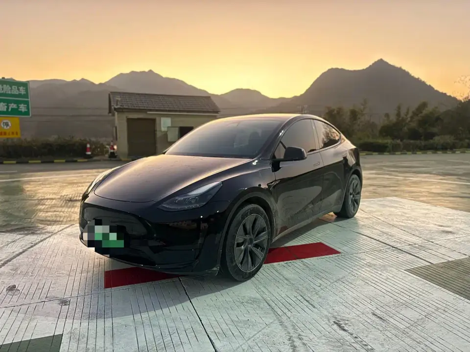 Tesla Model Y Rear-Wheel Drive Version 2024