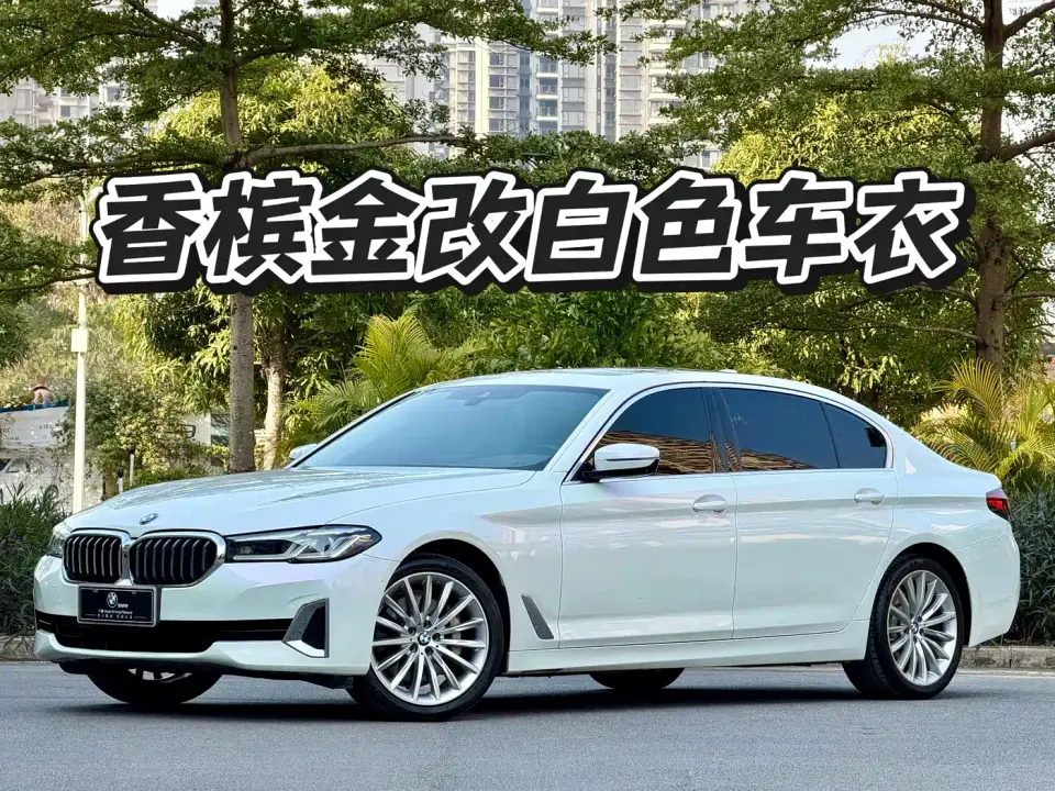 BMW 5 Series 530Li Premium Luxury Package 2021