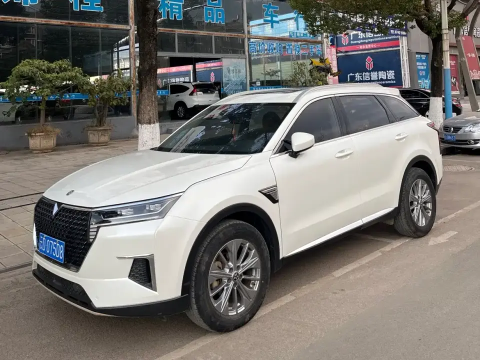 Venucia Star 260T Automatic 48V Mild Hybrid Turbo Star Enjoy Edition 2021