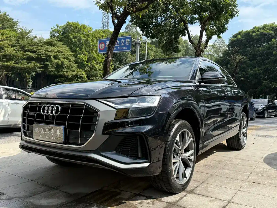 Audi Q8 55 TFSI Luxury Dynamic 2021