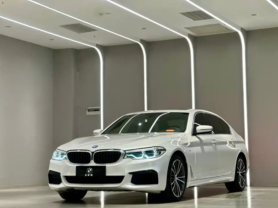 BMW 5 Series 530Li Exclusive M Sport Package 2020