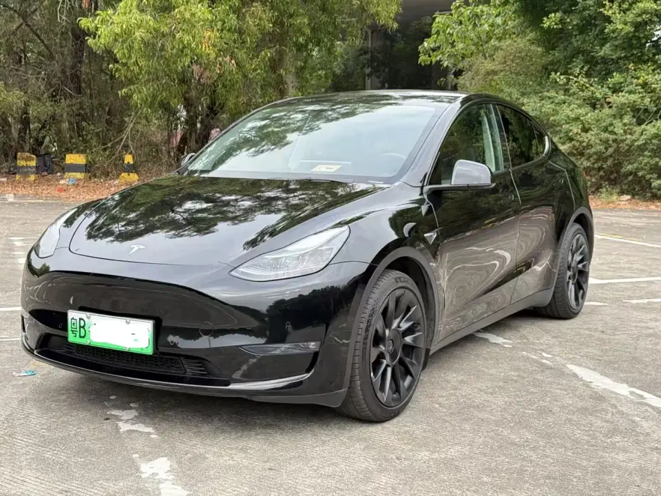 Tesla Model Y Rear-Wheel Drive Version 2022