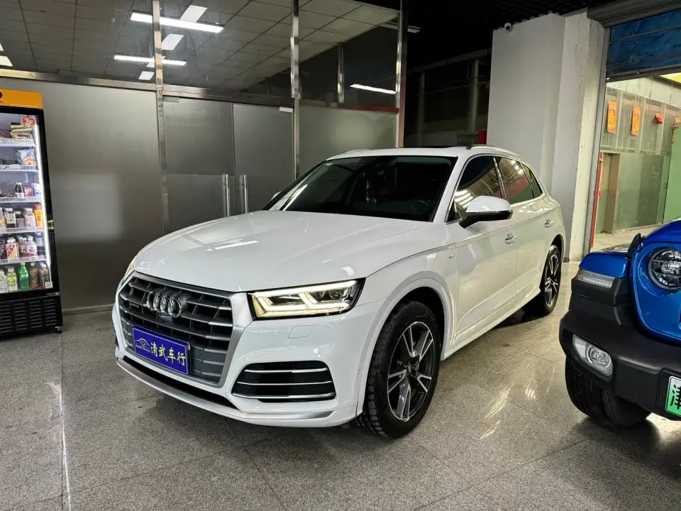 Audi Q5L 45 TFSI Exclusive Fashion 2020