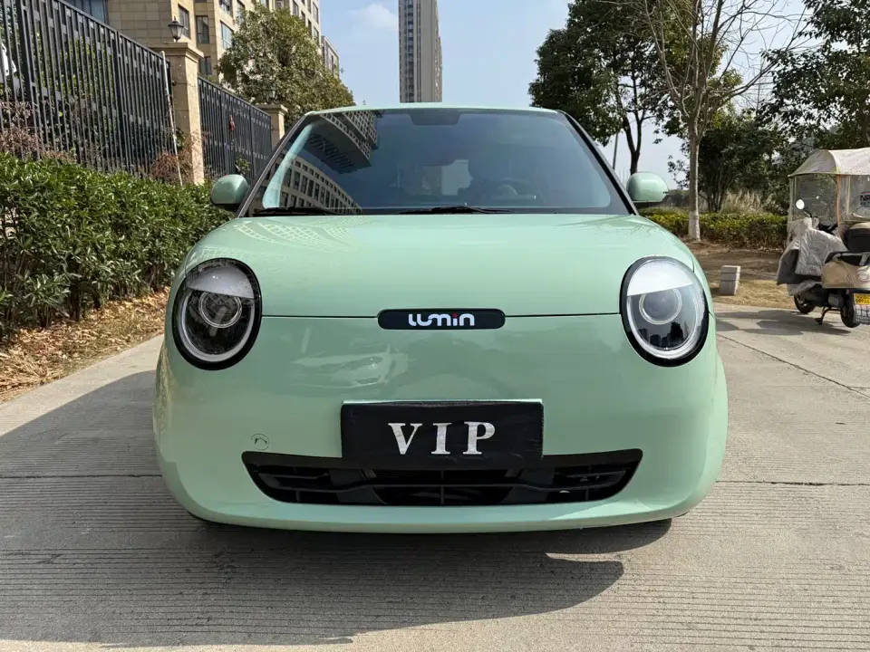 Changan Qiyuan Changan Lumin 210km Sweet Edition 2024