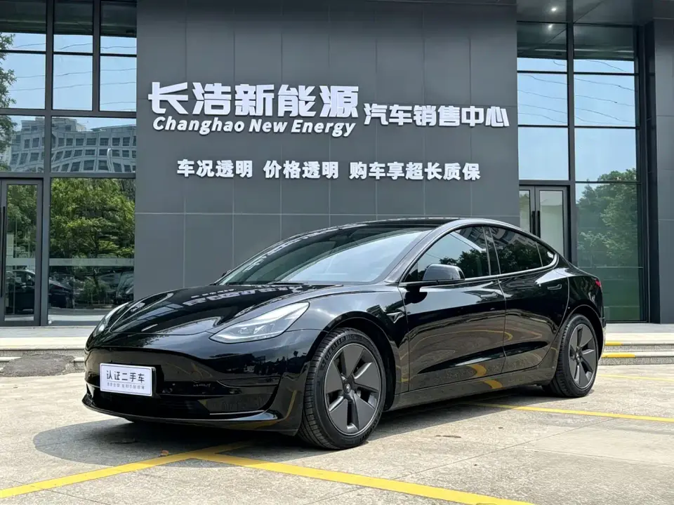 Tesla Model 3 Model Rear-Wheel Drive Version 2022