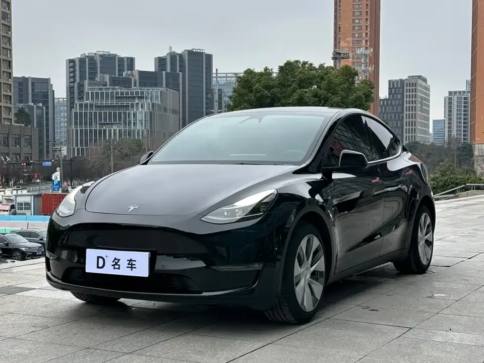 Tesla Model Y Model Long Range AWD 2021