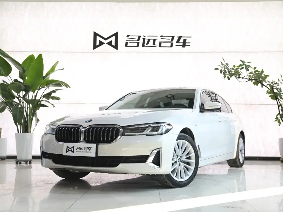 BMW 5 Series 525Li Luxury Package 2021