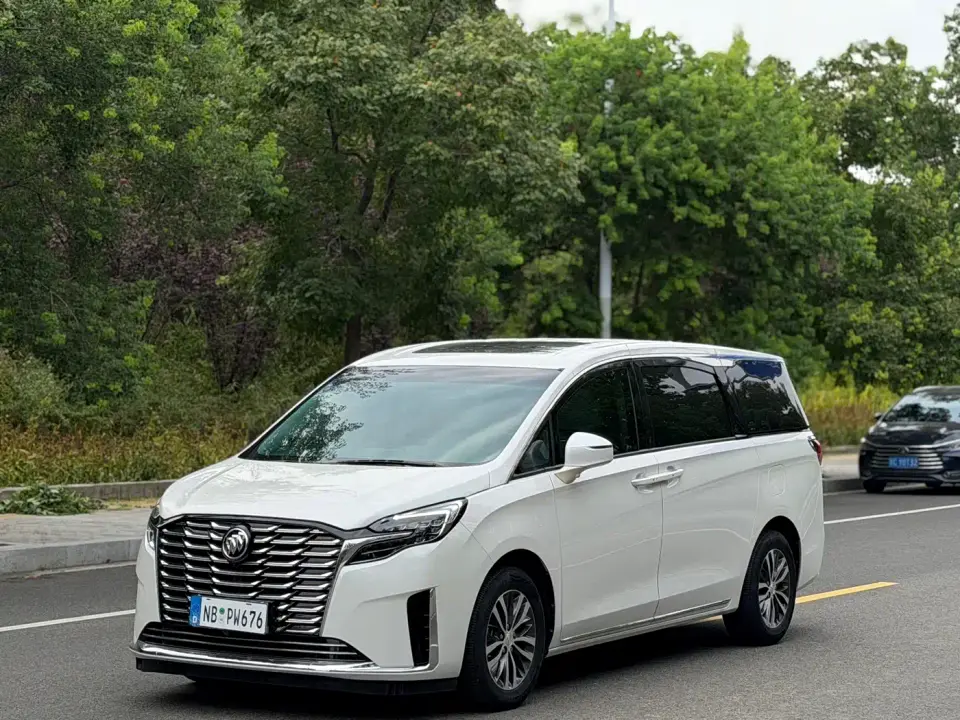 Buick GL8 ES Landmaster Comfort 2024