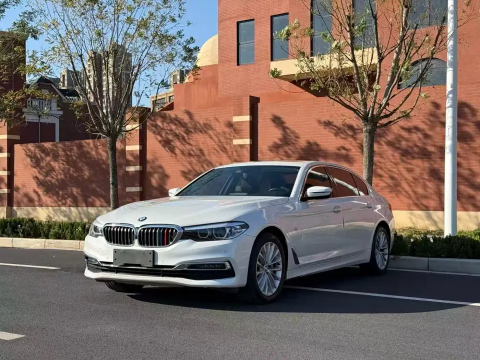 BMW 5 Series 530Li Leading Luxury Package 2019
