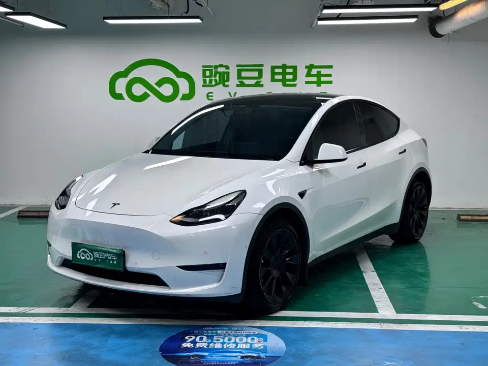 Tesla Model Y Model Long Range AWD 2021