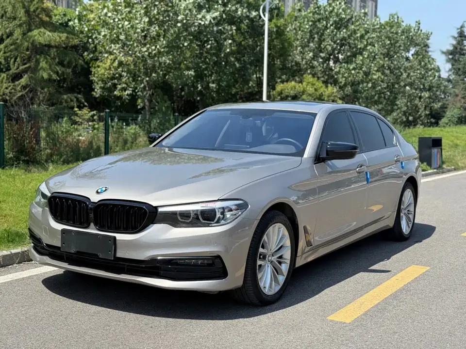 BMW 5 Series 530Li Leading Luxury Package 2019