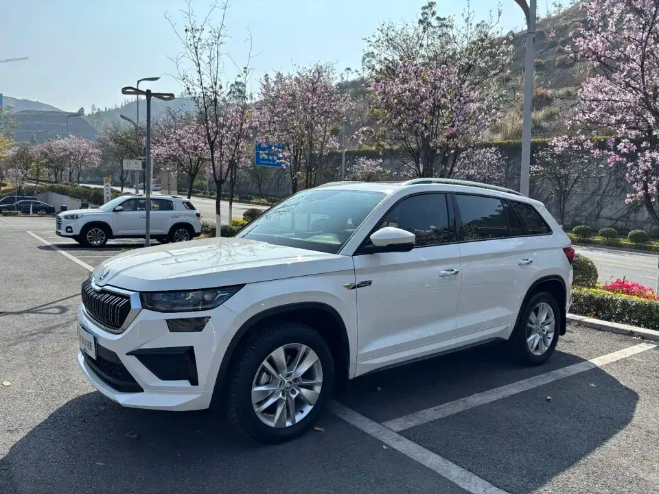 Skoda Kodiaq TSI330 5-Seater FWD Capability Edition 2025