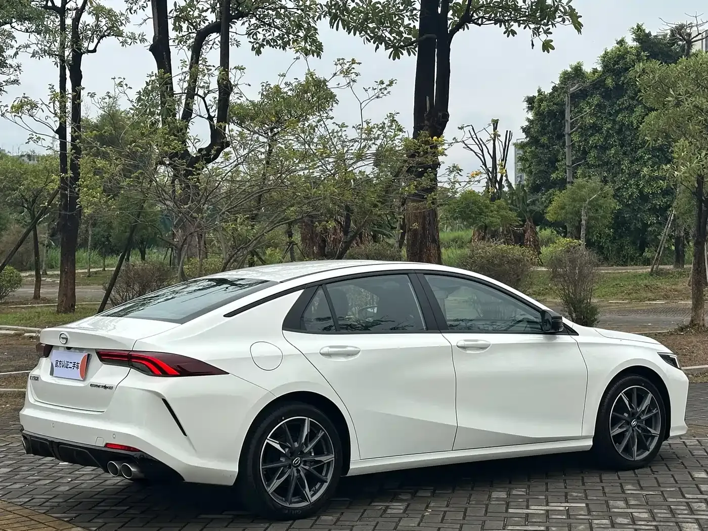 GAC Trumpchi Emkoo Model 270T DCT Shadow Leopard S Edition 2025 — фото 9