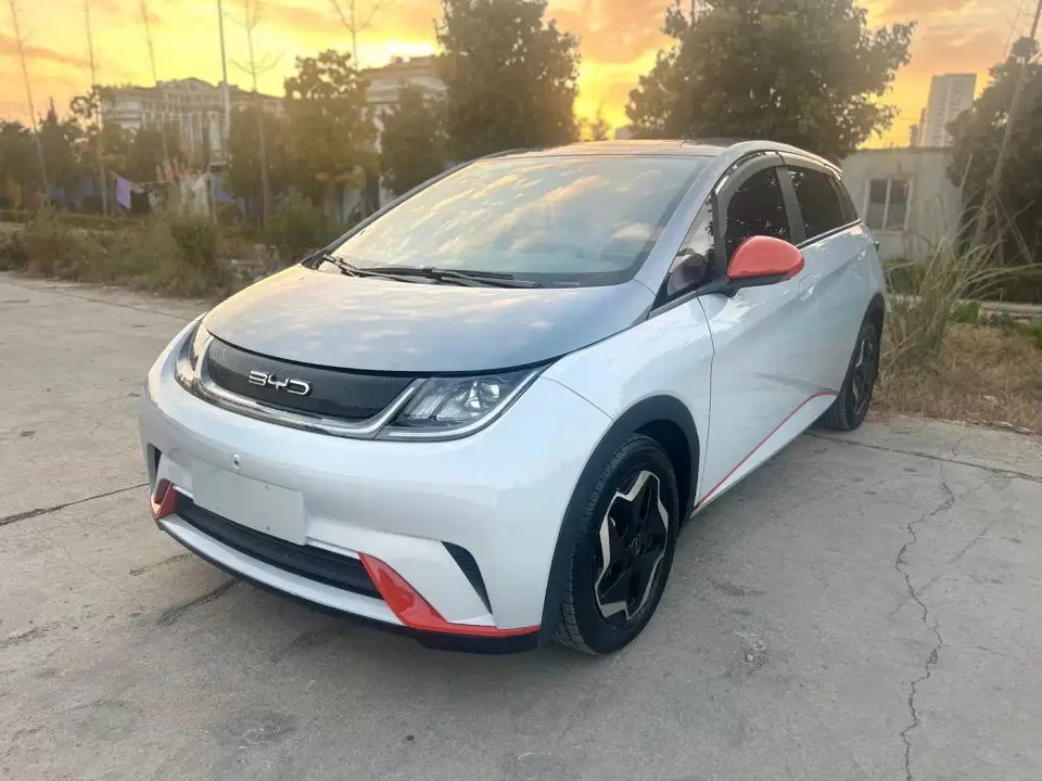 BYD Dolphin Model 405km Fashion Edition 2021