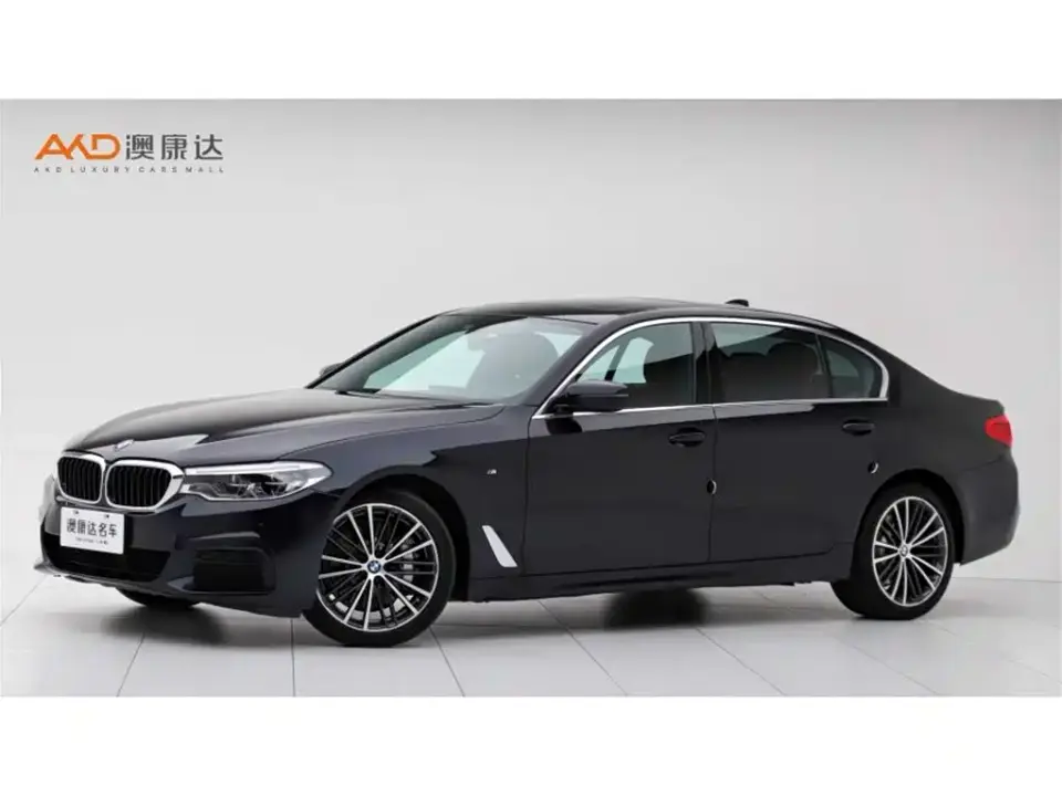 BMW 5 Series 530Li Exclusive M Sport Package 2020