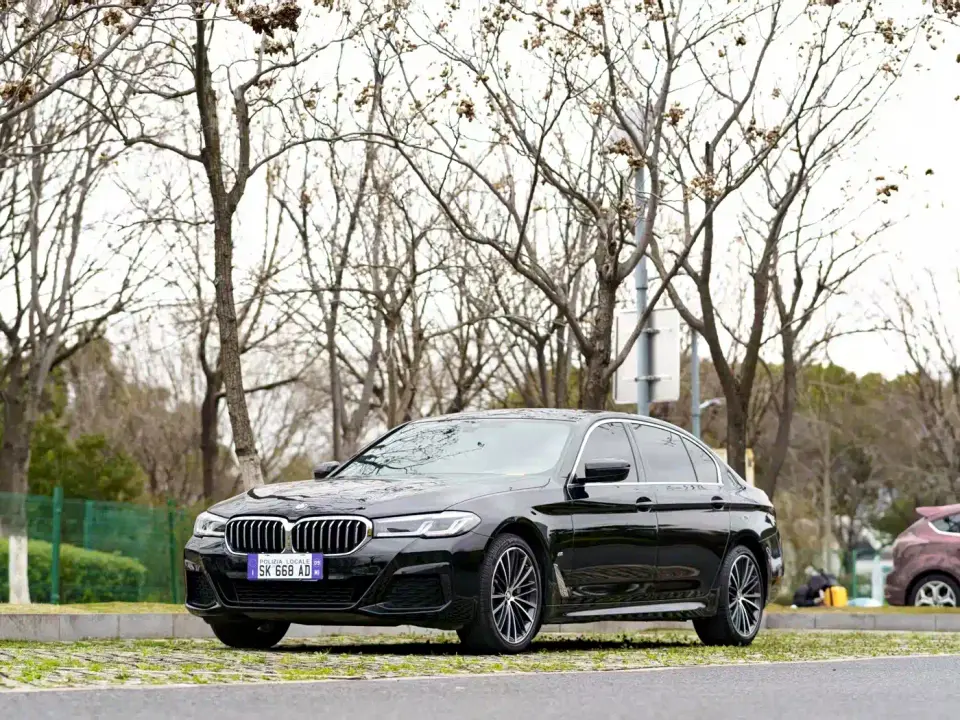 BMW 5 Series 530Li Leading M Sport Package 2021