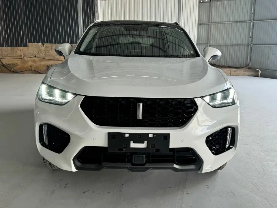 Wey VV5 1.5T 2WD Style Pioneer 2019