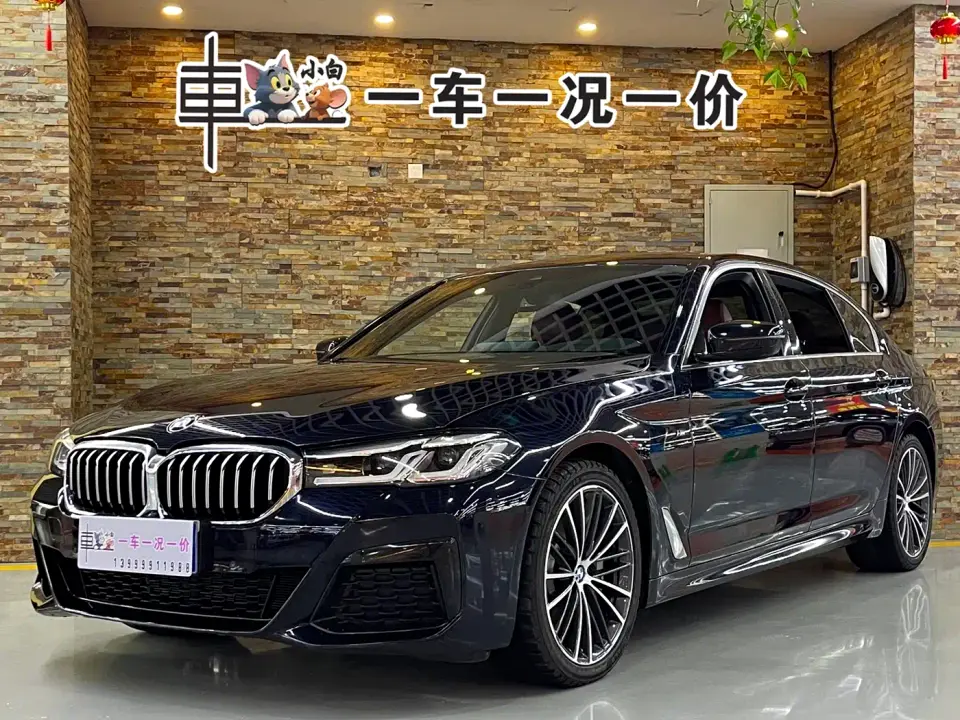 BMW 5 Series 530Li Leading M Sport Package 2021