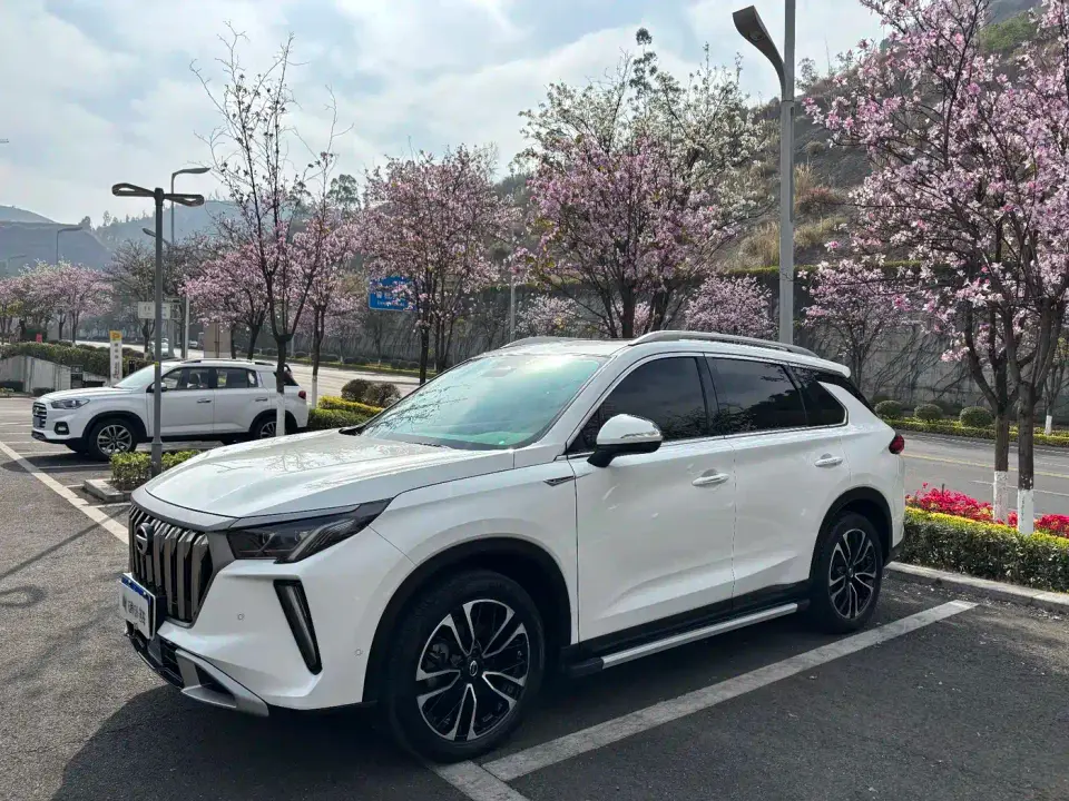 GAC Trumpchi GS4 PLUS 390T Auto Nebula Edition 2024