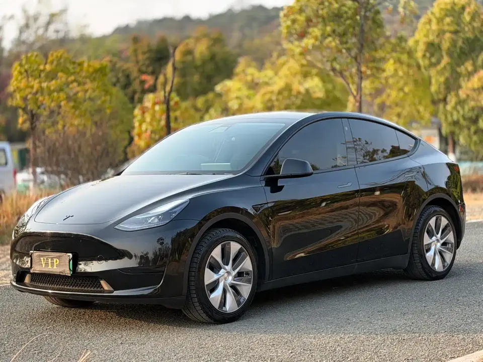 Tesla Model Y Rear-Wheel Drive Edition 2023