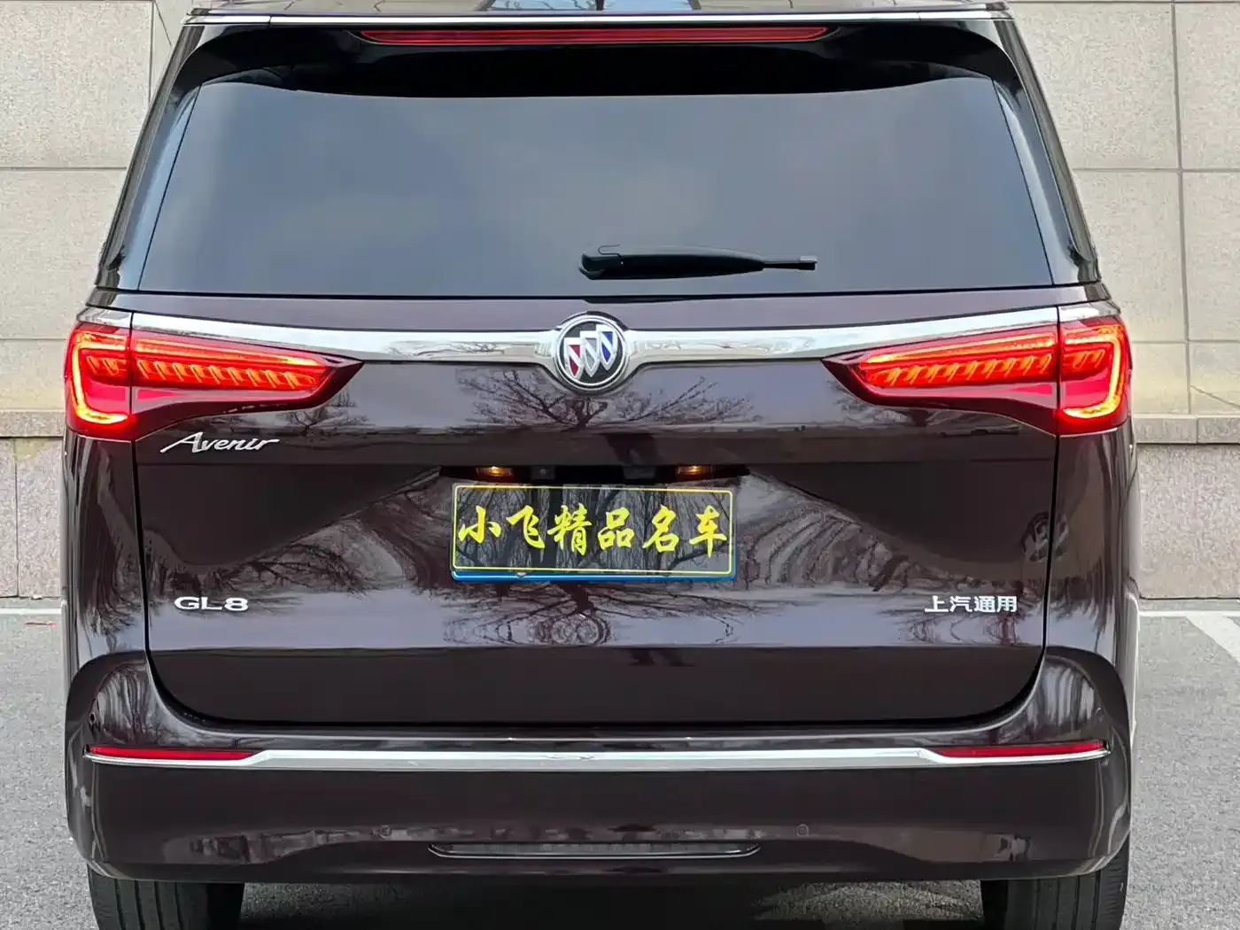 Buick GL8 Avenir Aivia 6-Seater Elite Edition 2021 — фото 6