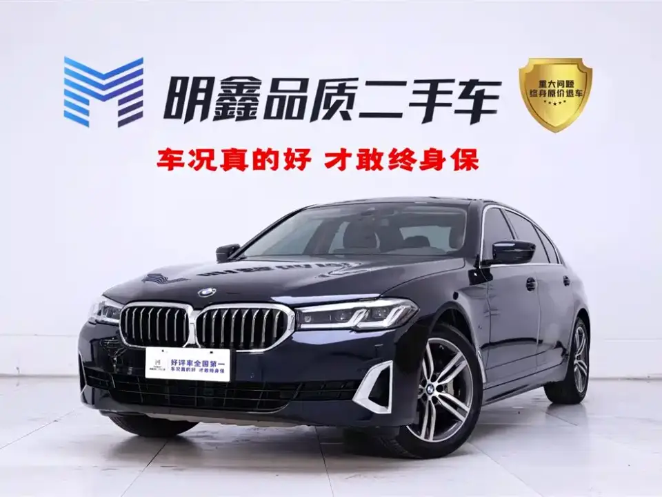 BMW 5 Series 530Li Leading Luxury Package 2021