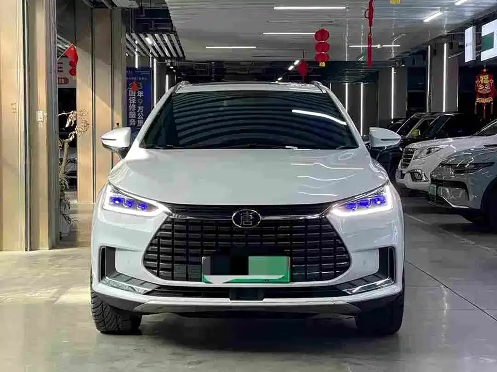 BYD Tang New Energy EV600D 4WD Smart Connected Creation Leader Type 2019 — фото 2