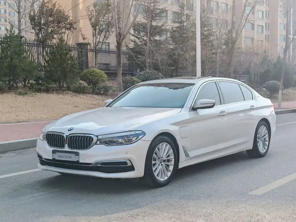 BMW 5 Series New Energy Facelift 530Le Luxury Package 2019